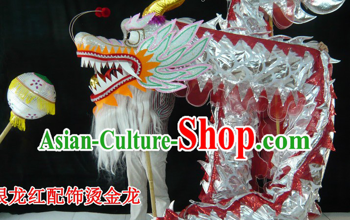 Standard Competition and Parade Silver Dragon Dance Costume for 9-10 Dancers