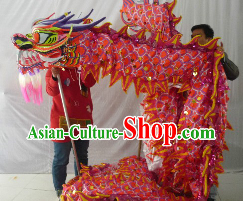 Luminous Dragon Dance Costume for 9-10 People