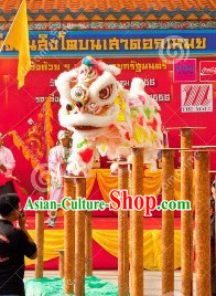 Rainbow Color Lion Dance Head and Tail Costumes Complete Set
