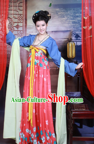 Chinese Tang Dynasty Traditional Skirt for Women