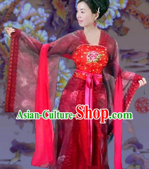 Tang Dynasty Big Sleeves Clothes for Women