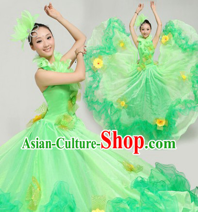 Top Green Flower Dance Costumes and Hairdress