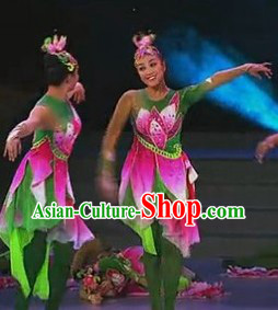 Chinese Stage Performance Professional Flower Dance Costumes Complete Set