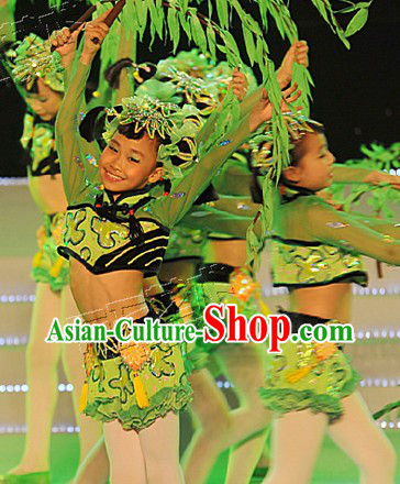 Chinese Willow Dance Costumes and Props Complete Set for Kids