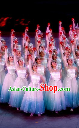 Swan Stage Performance Dance Costumes and Headwear Complete Set