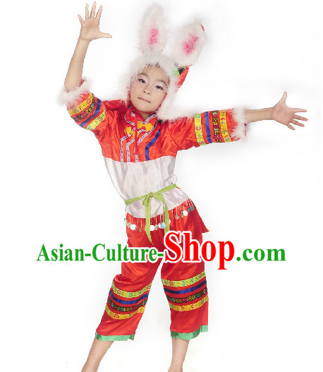 Professional Stage Performance Rabbit Dancing Costumes for Child