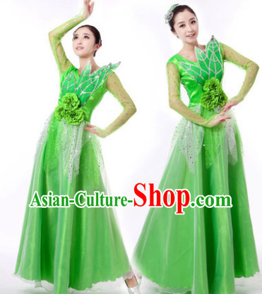 Traditional Chinese Green Leaf Dancing Clothes and Hair Accessories