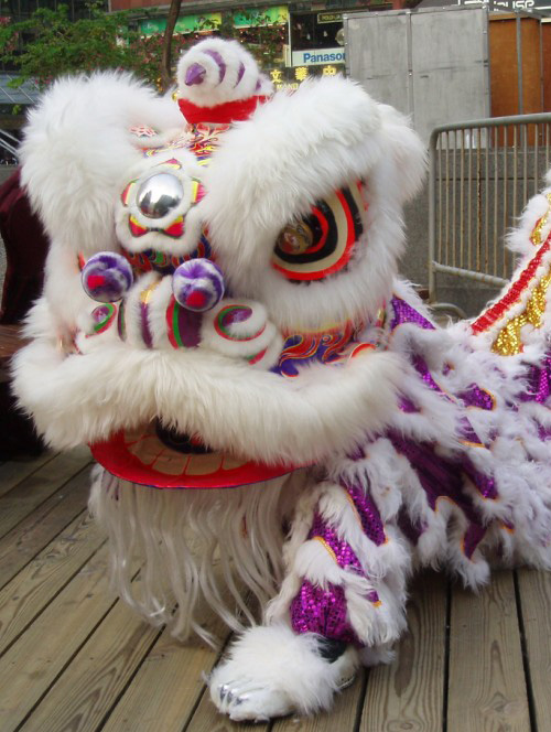 Lion Dance Clothes