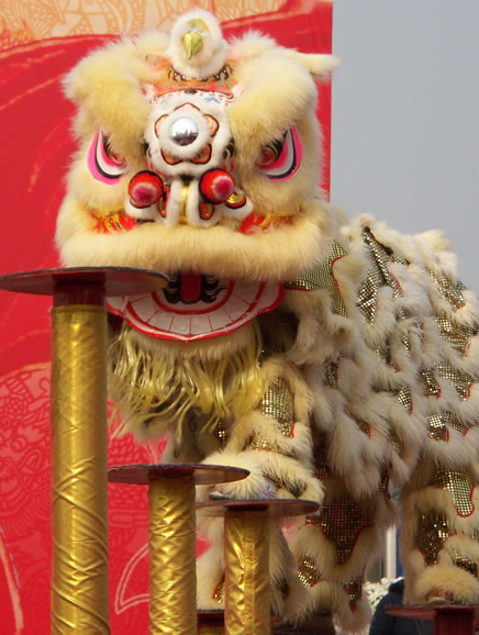 Lion, Dragon Dance Clothes