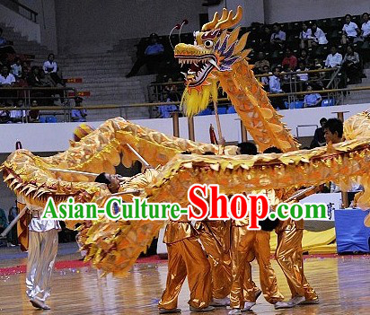 dragon dance costume