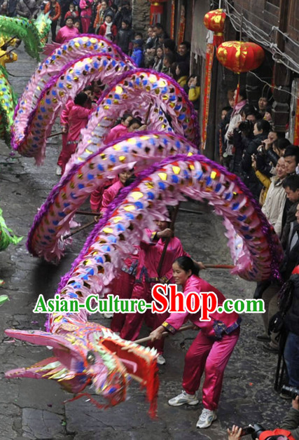 Chinese New Year Shinning Dragon Costume for Adults