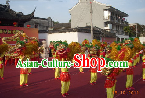 Chinese New Year Parade Lion Costume for One Person