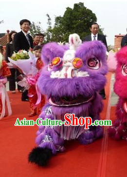 Top Purple Southern Lion Dance Equipment Complete Set