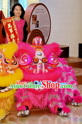 LED Lights Lion Dance Equipment Costumes Complete Set