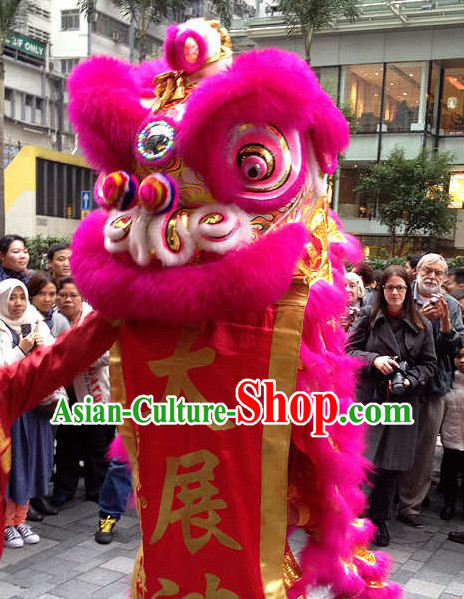 Chinese Festival Lion Mascot Costume Complete Set