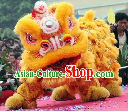 Chinese Festival Lion Costume Complete Set