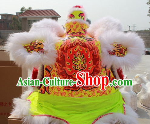 youtube chinese lion dance