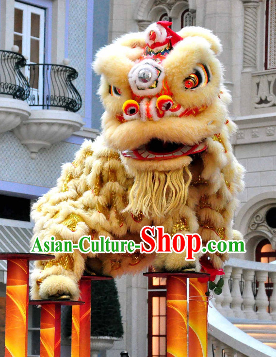 Asian Chinese Lion Costume Complete Set