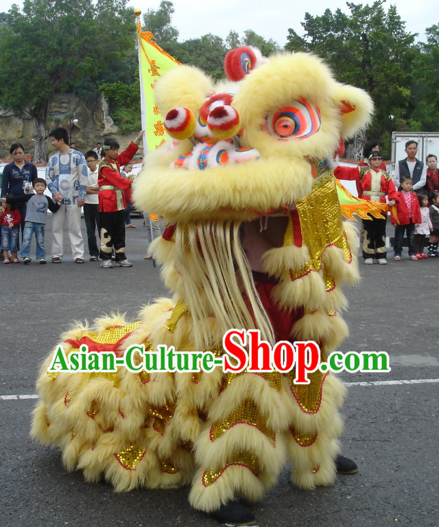 Asian Chinese Martial Lion Dance