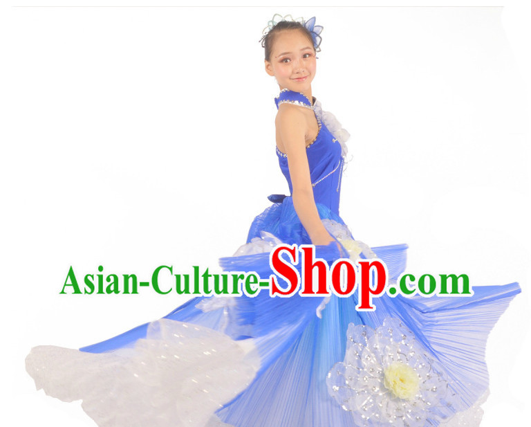 China Dance Costumes Ballerina Costume Burlesque Costumes Salsa Costumes,