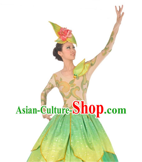 China Dance Costumes Ballerina Costume Burlesque Costumes Salsa Costumes,