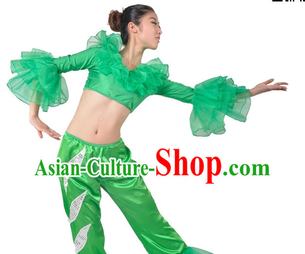 China Modern Dance Costumes Ballerina Costume Burlesque Costumes Salsa Costumes