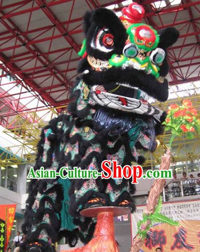 lion dance lion dance music lion dance video the lion dance lion dancing dragon dance costume dragon dance dragon dance costumes dragon dance chinese dragon dance