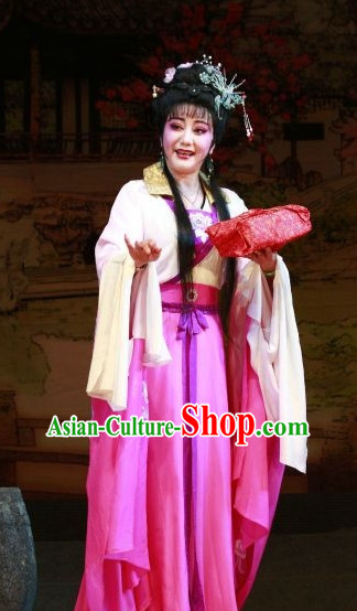 Asian Chinese Traditional Dress Theatrical Costumes Ancient Chinese Clothing Wife Costumes and Hair Accessories