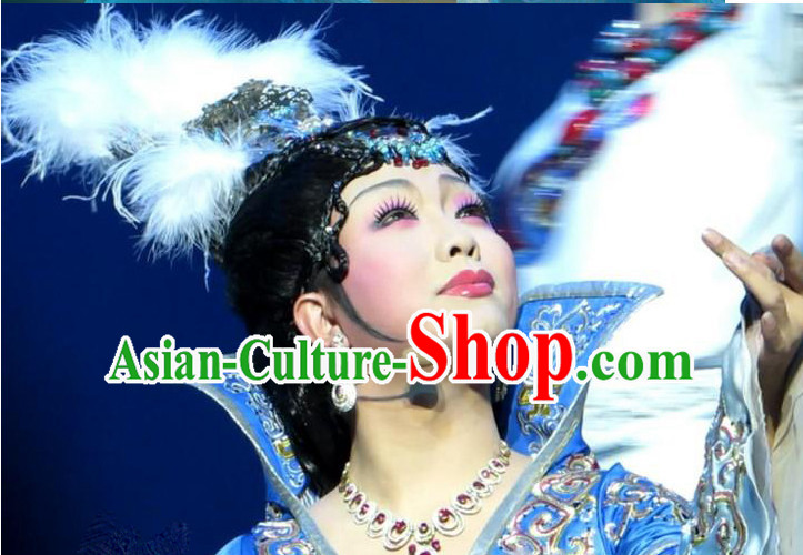 Chinese Wang Zhaojun Wigs and Hair Accessories.