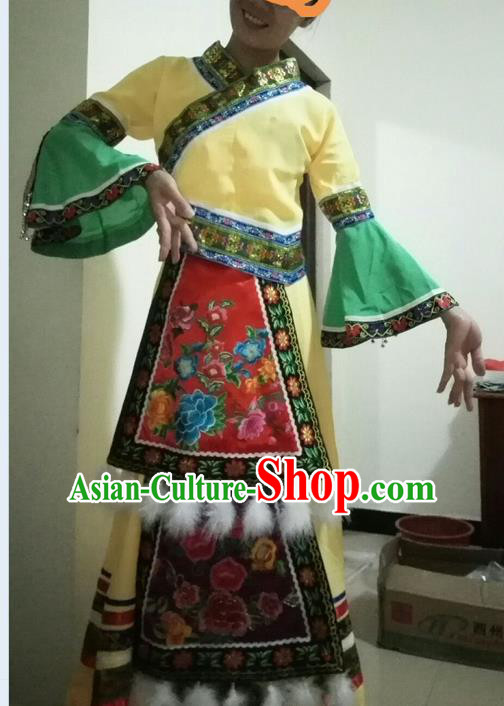 Traditional Chinese Miao Nationality Dancing Costume, Hmong Female Folk Dance Ethnic Pleated Skirt, Chinese Minority Nationality Embroidery Costume for Women