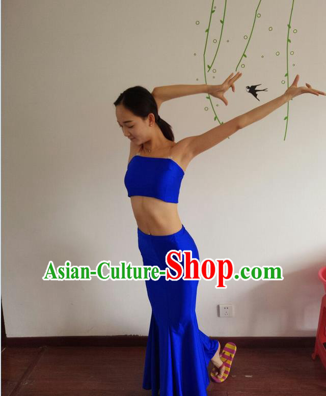 Traditional Chinese Dai nationality Peacock Dancing Costume, Folk Dance Ethnic Costume, Chinese Minority Nationality Dancing Fish Tail Costume for Women