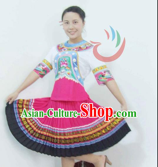 Traditional Chinese Miao Nationality Dancing Costume, Hmong Female Folk Dance Ethnic Pleated Skirt, Chinese Minority Nationality Embroidery Costume for Women