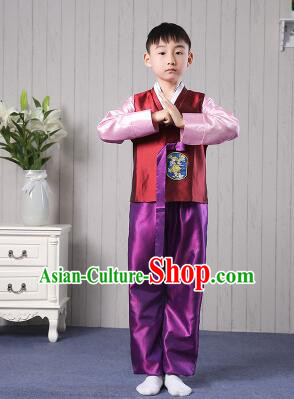 Korean Traditional Dress for Children Boy Clothes Kid Costumes Stage Show Dancing Red Top Purple Pants