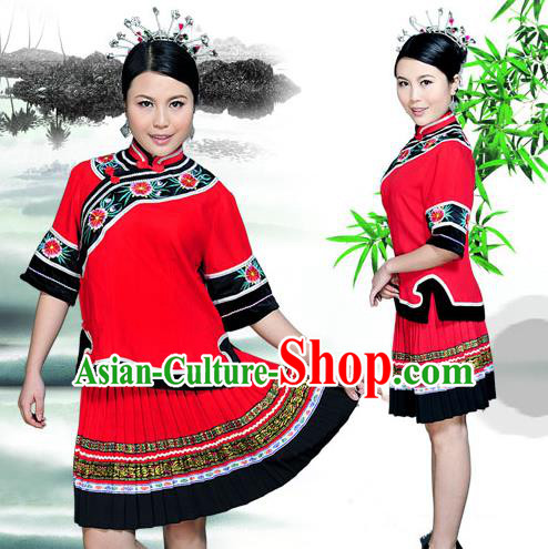 Traditional Chinese Miao Nationality Dancing Costume, Hmong Female Folk Dance Ethnic Pleated Skirt, Chinese Minority Nationality Embroidery Costume for Women