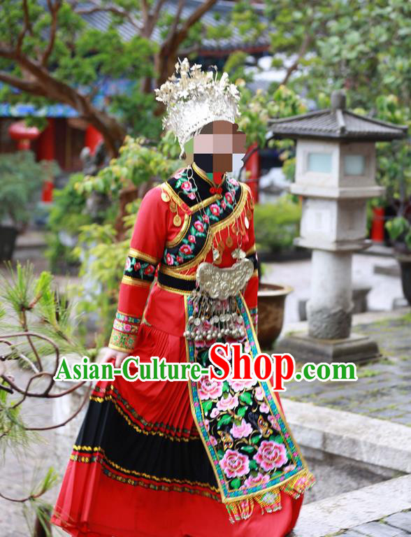 Traditional Chinese Miao Nationality Dancing Costume, Hmong Female Folk Dance Ethnic Pleated Skirt, Chinese Minority Nationality Embroidery Costume for Women