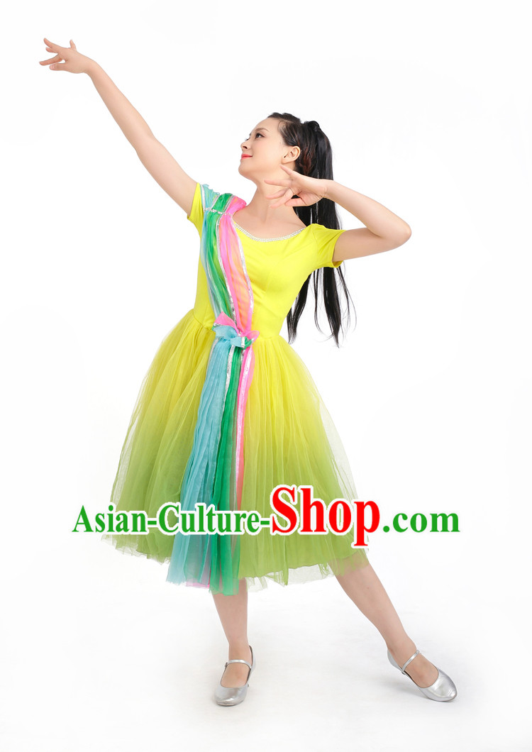 Chinese Competition Stage Dance Costumes Female Dance Costumes Folk Dances Ethnic Dance Fan Dance Dancing Dancewear for Women