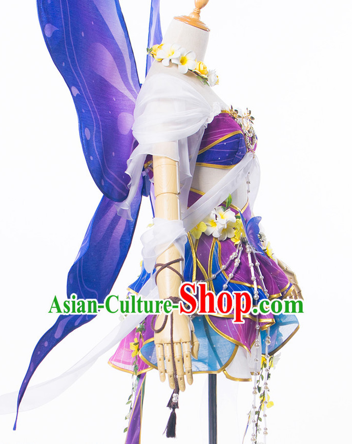 Traditional Chinese Butterfly Dancewear Costumes Fancy Dancer Costumes Girls Dance Lyrical Dance Costume Ballroom Comtemporary Recital Dancewear Costume