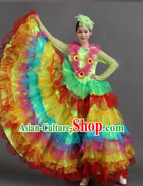 Chinese Ballroom Dance Dress for Women Girls