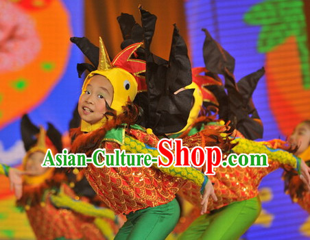 Chinese Traditional Chicken Dance Dress Dancewear Costumes Dancer Costumes Dance Costumes Chinese Dance Clothes Traditional Chinese Clothes Complete Set for Kids