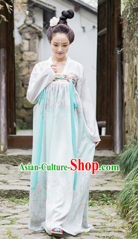 Traditional Chinese Tang Dynasty Dress Chinese Clothing Cloth China Attire Oriental Dresses for Women