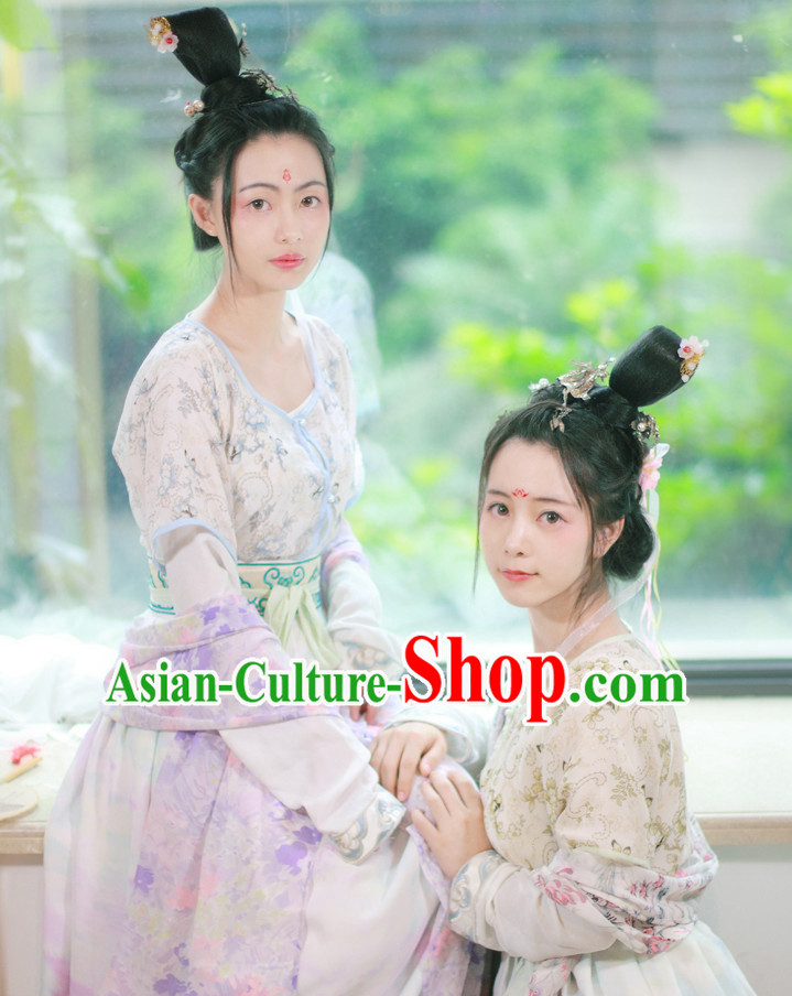 Traditional Chinese Tang Dynasty Clothing Dresses Skirt and Hair Jewelry Complete Set for Women