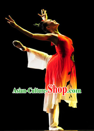 Chinese Classical Dance Costume Folk Dancing Costumes Traditional Chinese Dance Costumes Asian Dance Costumes Complete Set for Women