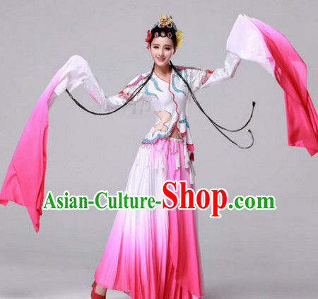 Chinese Classic Dance Costumes Traditional Chinese Clothing Dress Dancewear Dance Clothes Outfits Dresses