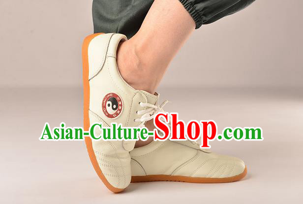 Traditional Chinese Top Kung Fu Shoes Martial Arts Kung Fu Training Tai Chi Taiji Shoes for Men