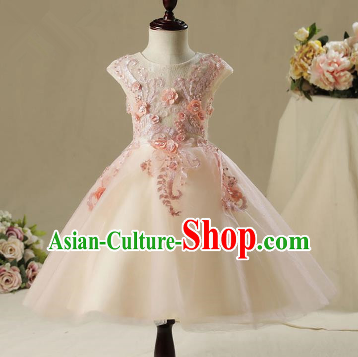 Children Model Show Dance Costume Embroidery Bubble Dress, Ceremonial Occasions Catwalks Princess Pink Full Dress for Girls