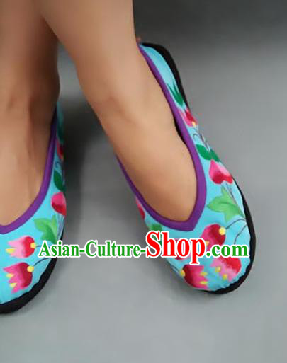 Traditional Chinese National Blue Shoes Embroidered Shoes, China Handmade Shoes Hanfu Embroidery Shoes for Women