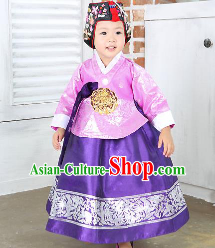 Traditional Korean Handmade Formal Occasions Costume Embroidered Baby Brithday Girls Pink Blouse and Dress Hanbok Clothing