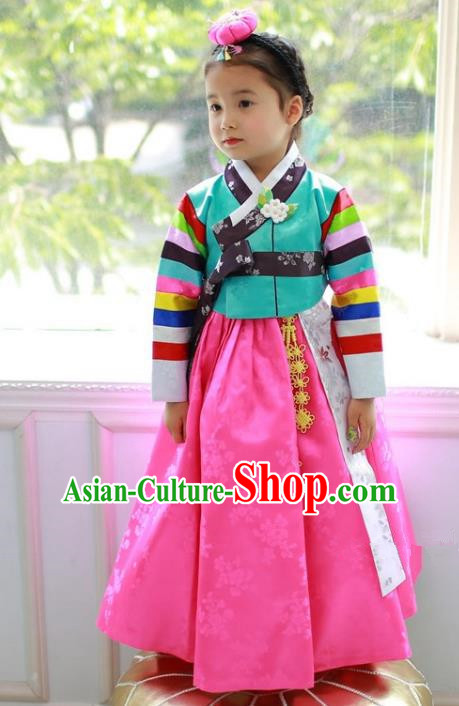 Traditional Korean Handmade Formal Occasions Costume Embroidered Baby Brithday Hanbok Green Blouse and Pink Dress Clothing for Girls