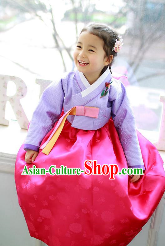 Traditional Korean Handmade Formal Occasions Costume Embroidered Purple Blouse and Pink Dress Hanbok Clothing for Girls