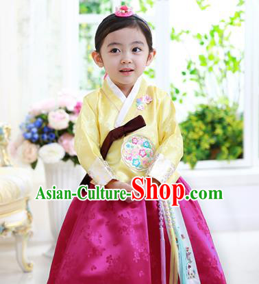 Traditional Korean Handmade Formal Occasions Costume Baby Princess Embroidered Yellow Blouse and Purple Dress Hanbok Clothing for Girls